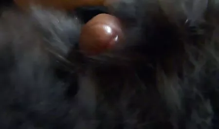 Lagu Liseli 카터는 시계 무료 포르노 성숙한 여성 흥분 fuck