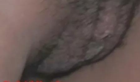 도둑을 달콤한 성숙한 이모르 젊은이